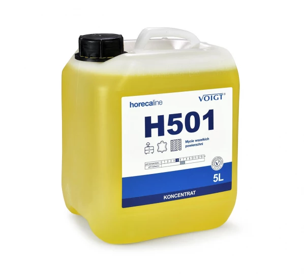 Mycie wszelkich powierzchni - H501